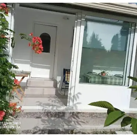Errika House 5 *